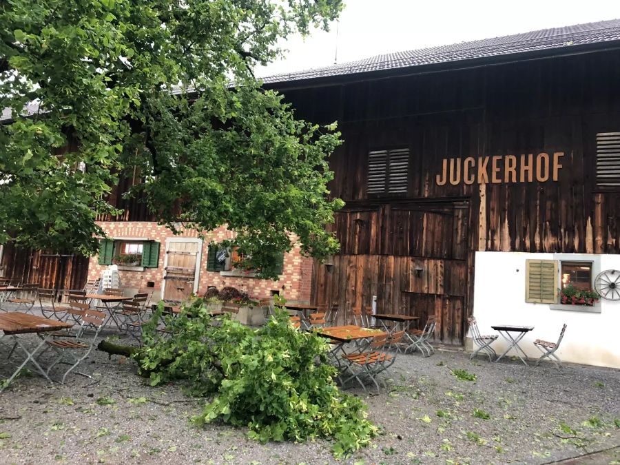 Ein abgebrochener Ast liegt vor dem Juckerhof in Seegräben ZH nach den gestrigen Gewittern.