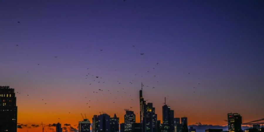 Bankentürme in Frankfurt am Main