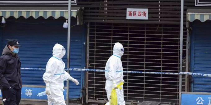 Arbeiter in Schutzkleidung tragen eine Tasche in der sich ein Riesensalamander befindet, der vom Huanan Seafood Market entkommen sein soll. Foto: -/CHINATOPIX/AP/dpa coronavirus