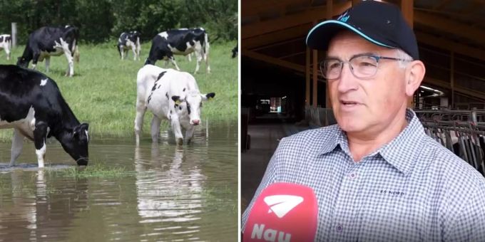 Regen-Katastrophe - Zürcher Bauer: «Wir können derzeit nicht ernten»