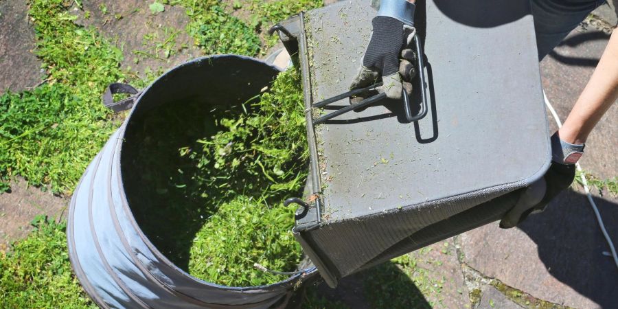 Zum Themendienst-Bericht vom 03. Juni 2021: Frisch gemähtes Gras ist kein Abfall. Es kann etwa zum Mulchen der Flächen rund um Bäume genutzt werden.