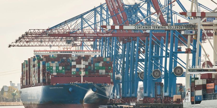 Blick auf Kräne und ein Containerschiff im Hamburger Hafen.