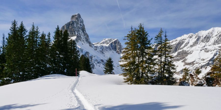 Braunwald Schnee Wanderung