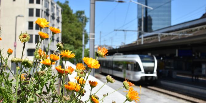 Blumen am Bahnhof