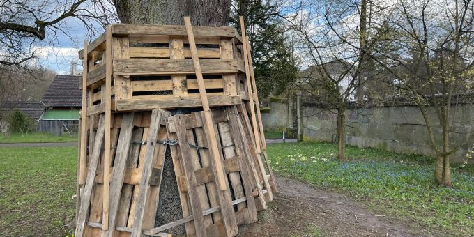 Diese Linde wurde im Berner Rosengarten beschädigt. rosengarten bern
