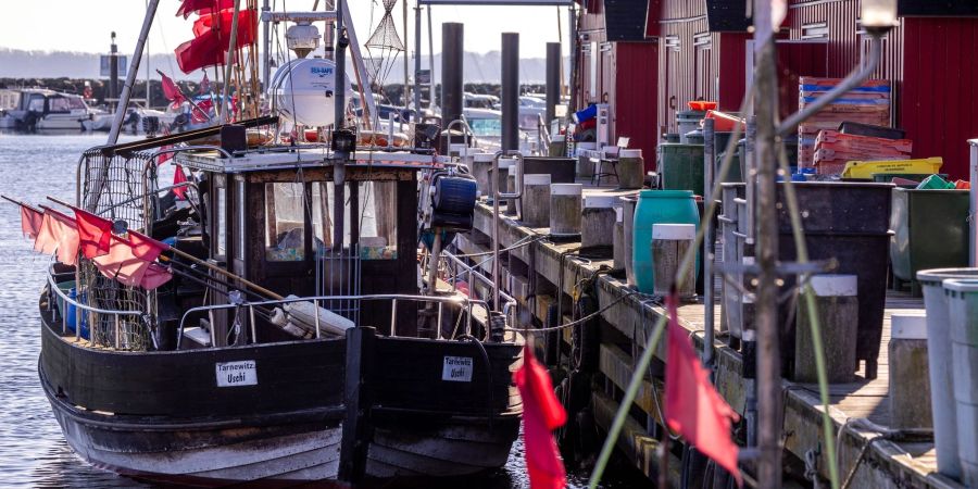 Der hölzerne Fischkutter TAR006 liegt im kleinen Fischerhafen in Tarnewitz. Für Mitte Oktober erwarten die Fischer die neuen Festlegungen für die Fischfangmengen in der Ostsee durch die EU.