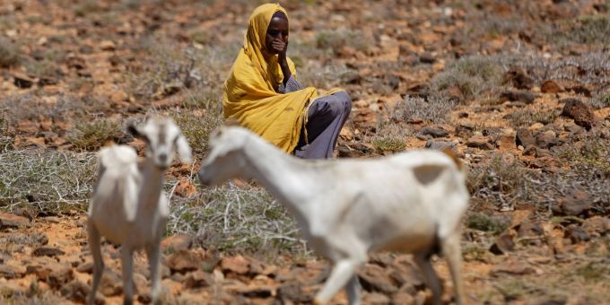 Das Wüstengebiet bei Bandar Beyla im Nordosten der autonomen Region Puntland. Hunger