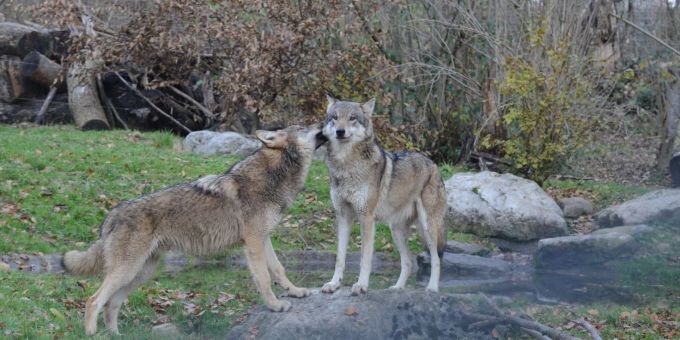 Kalt draussen? Warm anziehen! Ausflüge schlechtes Wetter