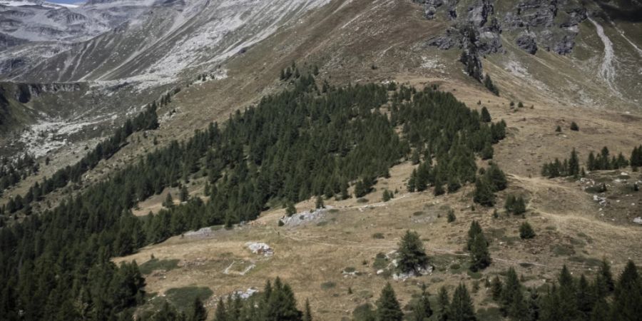 Das Parlament will Solar-Grossanlagen wie hier bei Gondo im Oberwallis ermöglichen. Der Umweltschutz soll aber nicht zu kurz kommen. (Archivbild)