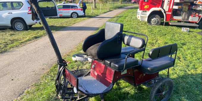 Anwil BL: Scheuendes Pony-Gespann gerät ausser Kontrolle und stürzt in ein Bachbett Anwil BL: Scheuendes Pony-Gespann gerät ausser Kontrolle