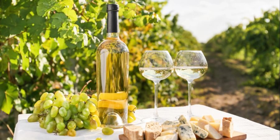 Weissweine wie Chardonnay oder auch Gewürztraminer sind in Verbindungen mit Käsespezialitäten besonders lecker.