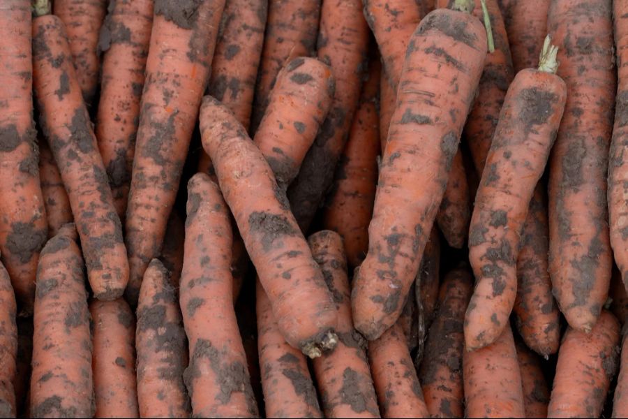 Dabei bauen 18 Prozent der Höfe in der Schweiz ihre Produkte biologisch an.