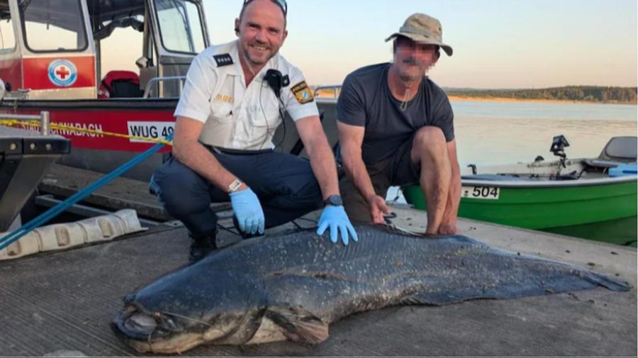 Die Polizei hat ihn angeschossen und eine Stunde später noch lebend aus dem Wasser geborgen.
