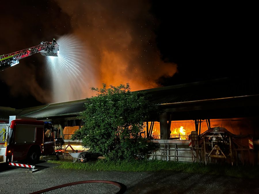 Die Feuerwehr versuchte den Brand zu löschen.