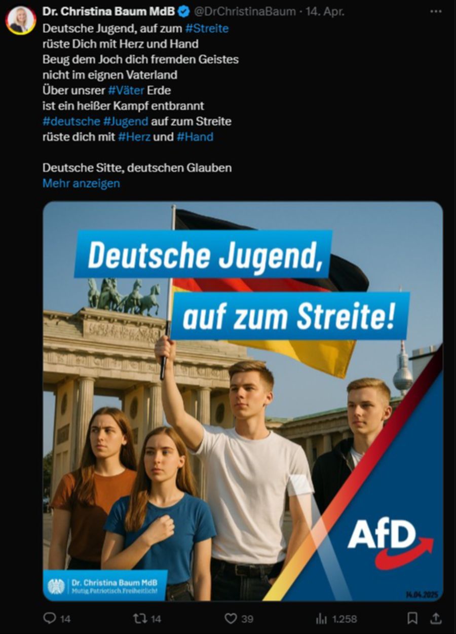 afd Christina Baum Twitter