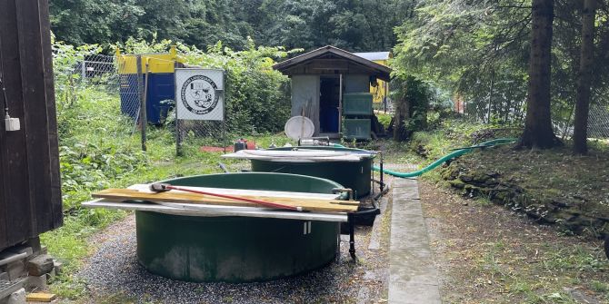 Fischsterben in Fischzucht