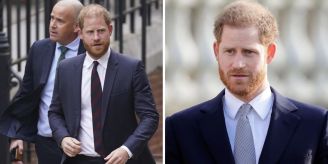Gerichtsentscheid - Expertin über Harry: «Er strotzt vor Wut und Groll»