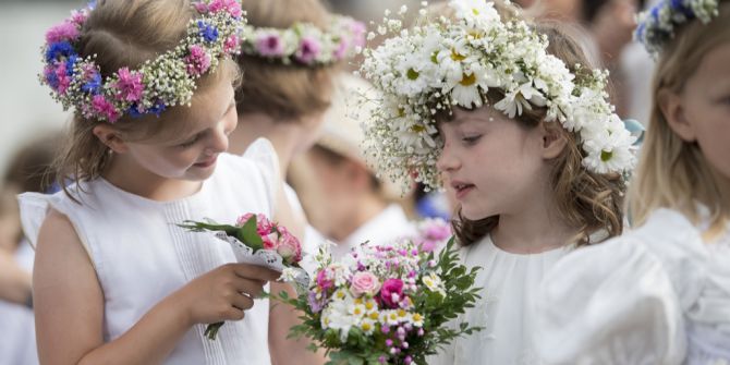 Blumenschmuck zerstört Aarau Maienzug