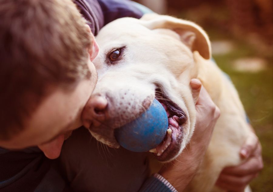 haustiersitter dogsitter ferien