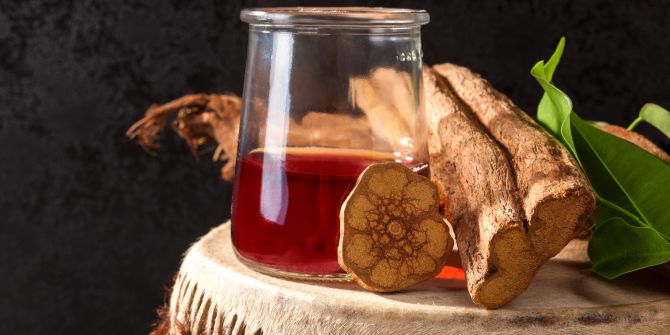 Ayahuasca, Getränk, Pflanze