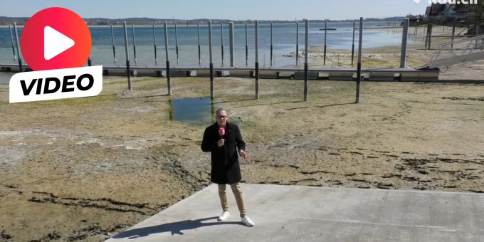 Bodensee trocknet aus - Nau.ch-Reporter steht da, wo sonst Wasser ist