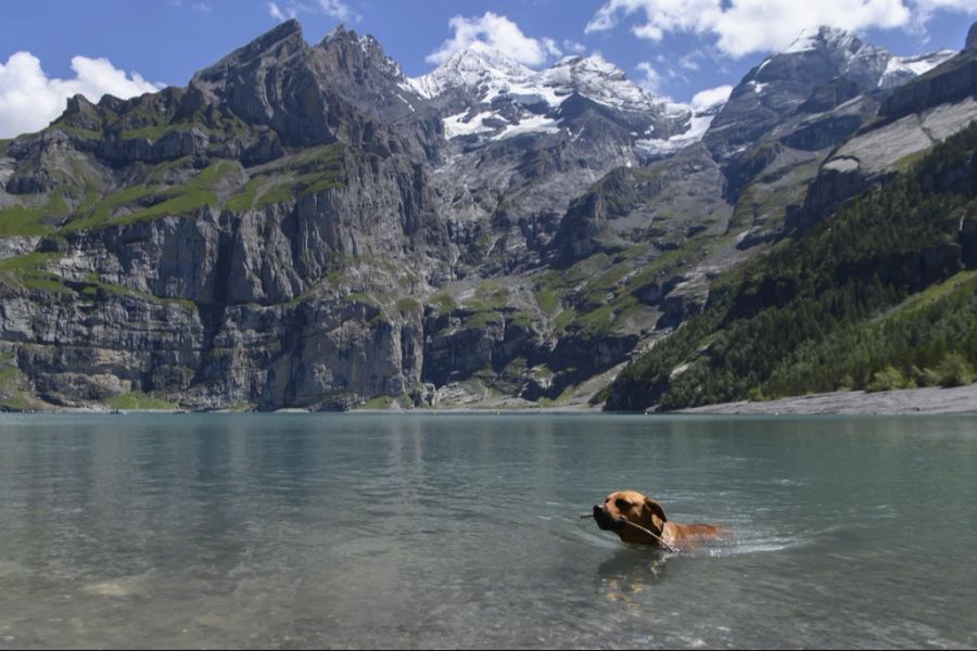 Der Oeschinensee plant auf den Start der Sommersaison am 10. Mai 2025 die Einführung eines Online-Reservationssystems.