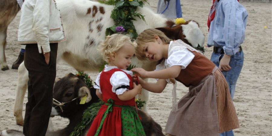 2006 präsentierten sich die beiden Appenzeller Kantone letztmals als Gastkantone an der Olma. (Archivbild)