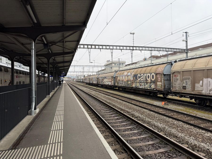 Bereits im Januar verstarb ein Jugendlicher in Zofingen AG beim Trainsurfen.