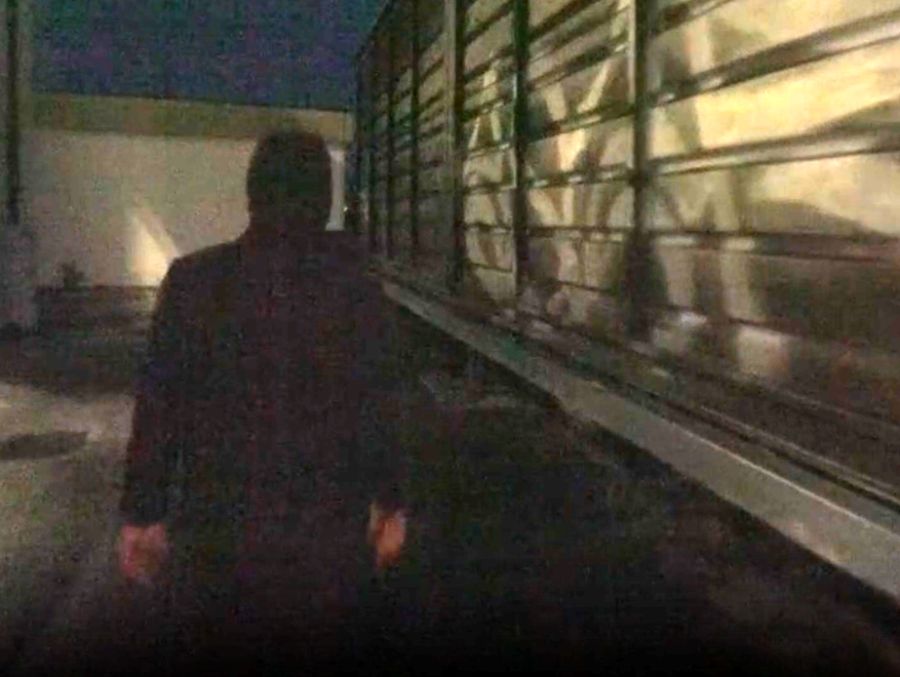 Der einstige Trainsurfer warnt nun andere vor dem gefährlichen Adrenalinkick.