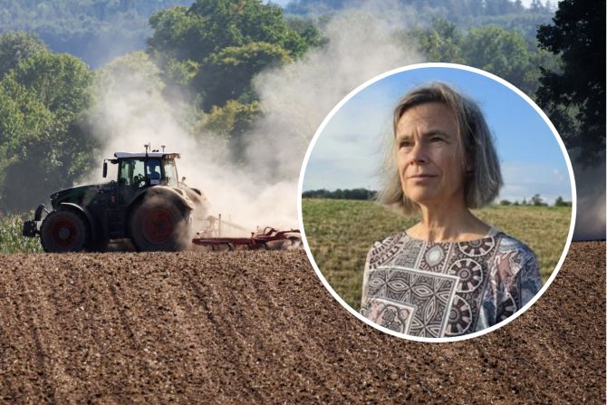 Landwirtschaft Trockenheit