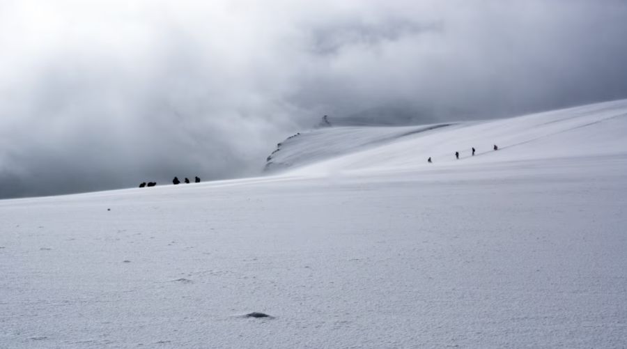 Als der Neunjährige vor einem Jahr auf das Walliser Bishorn stieg, erblickte er den Mont Blanc und nahm sich diesen zum Ziel.