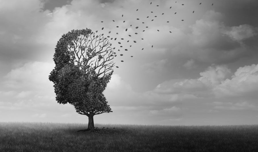 Alzheimer Schweiz