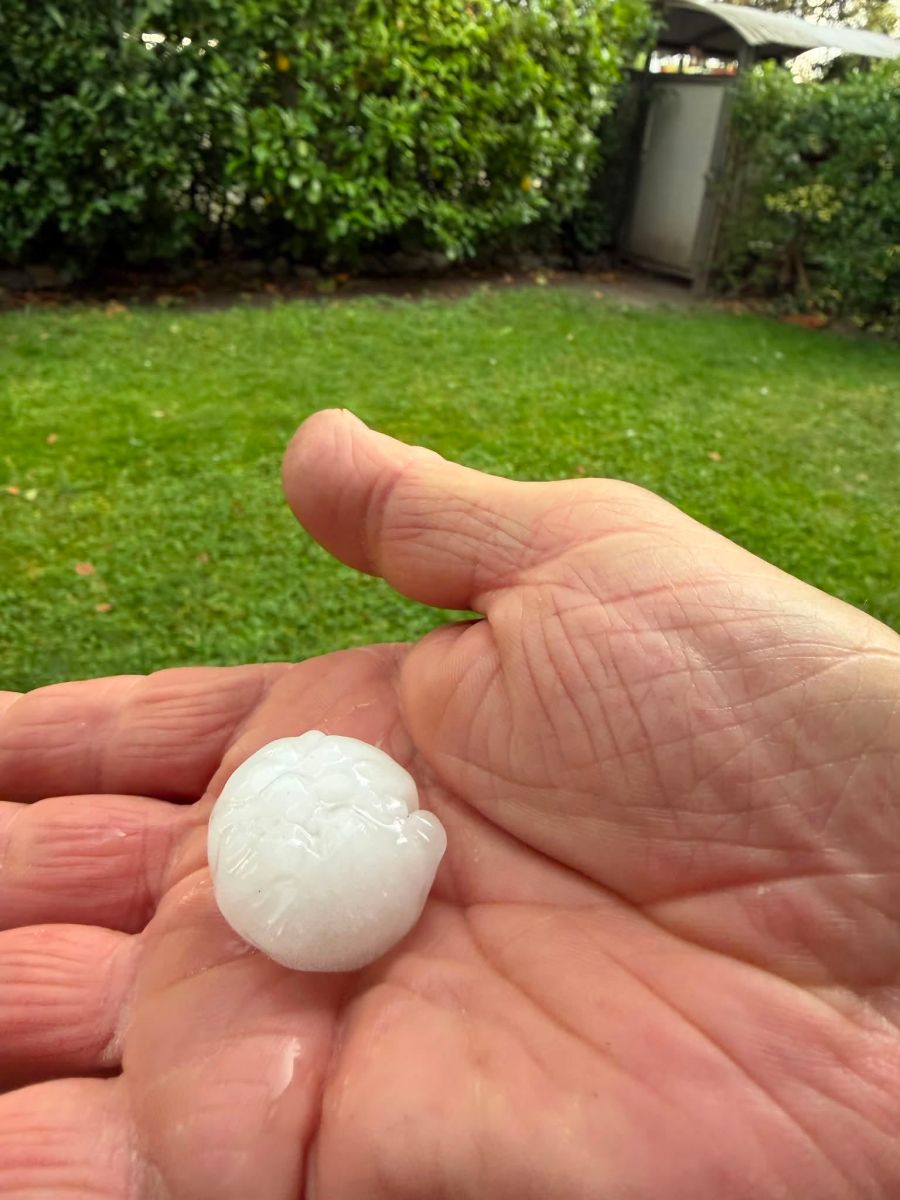 Hagel