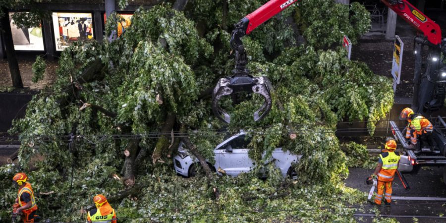 Beim Sturm vom Freitag wurden in der Stadt Zürich zahlreiche Bäume beschädigt. (Archivbild)