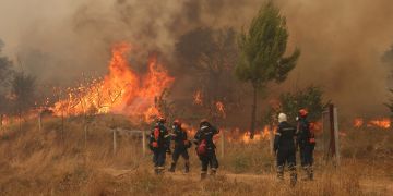 Waldbrand Athen