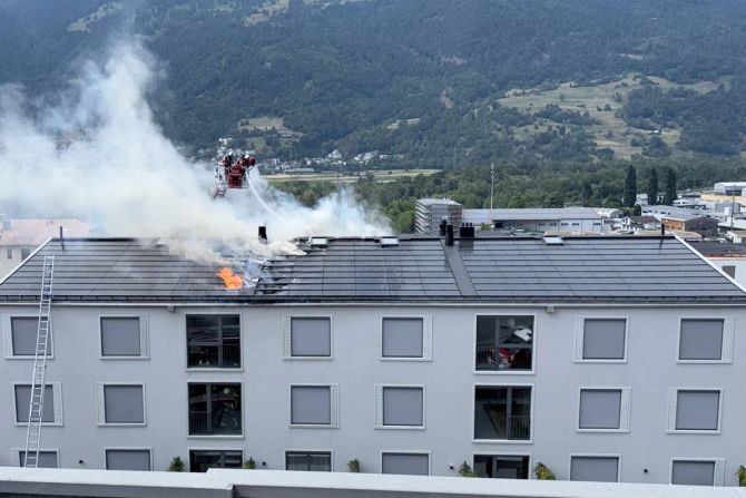 Brand zizers