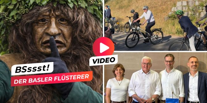 steinmeier in riehen