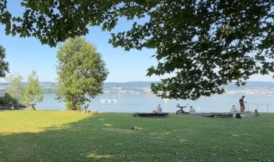 Die «Ländeli»-Badi in Meilen ZH befindet sich derzeit im Ausnahmezustand – alles dreht sich um zwei Schwaneneier.