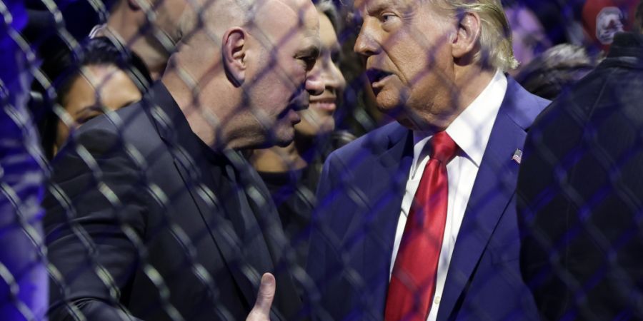ARCHIV - Der designierte US-Präsident Donald Trump spricht mit dem CEO der UFC, Dana White, bei der UFC 309 Mixed Martial Arts Veranstaltung. Foto: Adam Hunger/AP/dpa