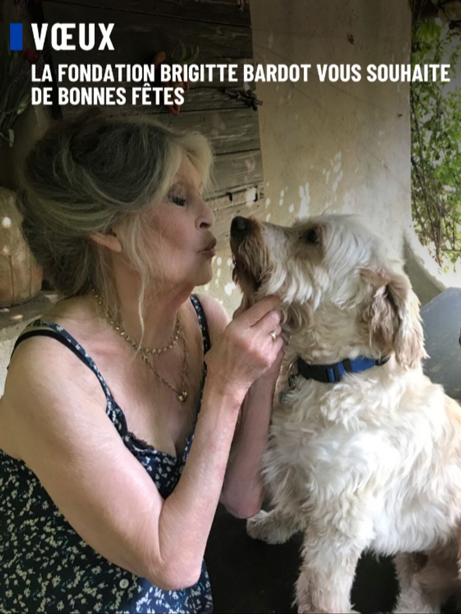 Bradot war nicht nur eine Film-Ikone, sondern auch eine grosse Tierschützerin.