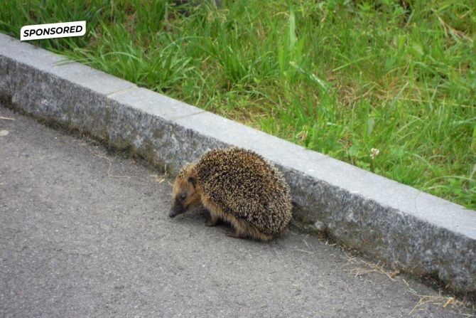 Verein pro Igel