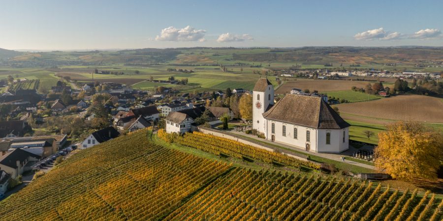 Von Neunkirch aus gibt es eine schöne Herbstwanderung in der Weinregion Schaffhausen.
