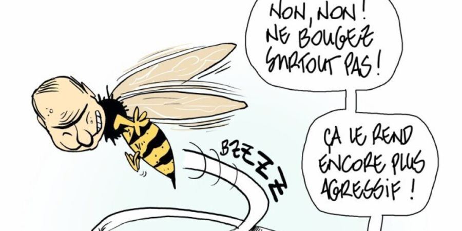 Mit dem Swiss Cartoon Award 2025 ausgezeichnet: der Cartoon von Pitch Comment.