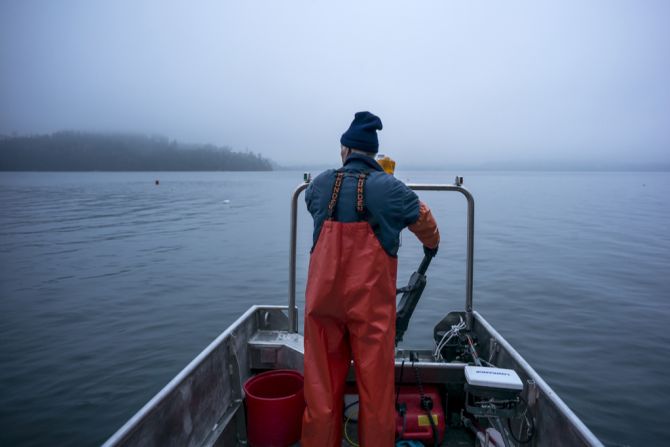 Hecht Egli Zugersee verboten