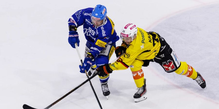 SC Bern