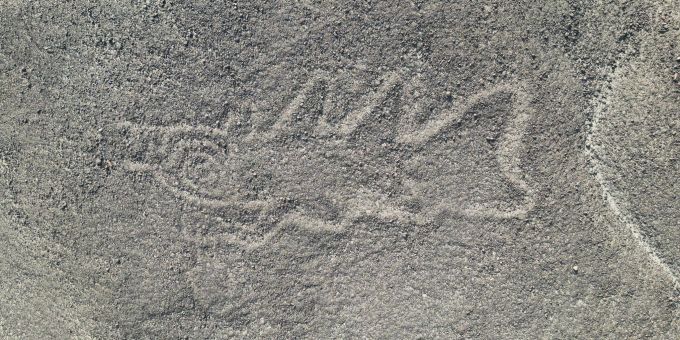 Eine 22 Meter lange reliefartige Geoglyphe, die nach Forscherangaben einen Wal darstellt, wurde im Süden Perus entdeckt. Geoglyphe