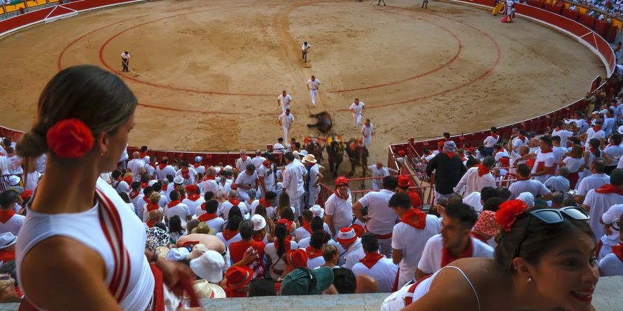 Mit Hilfe von Pferden wird ein getöteter Stier aus der Arena geschleift. Sein Fleisch kommt meist in lokalen Metzgereien zum Verkauf.