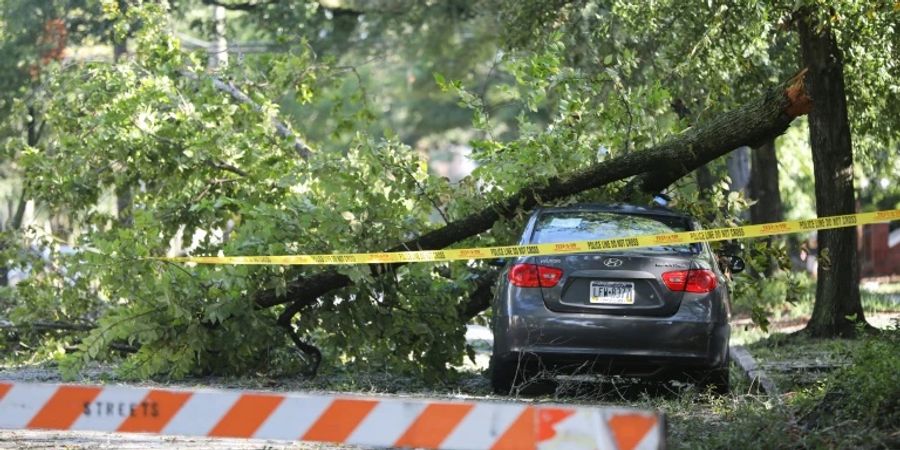 Abgebrochener Ast auf Auto in USA