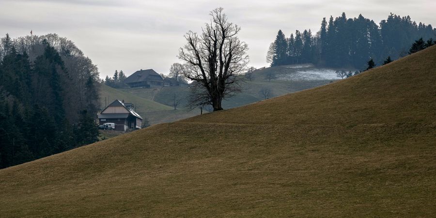 Die Landschaft bei Rüderswil.