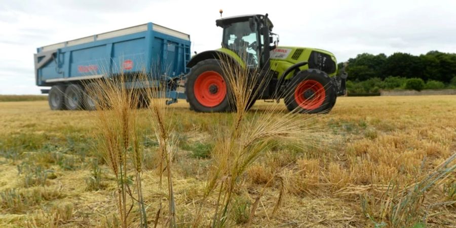 traktor bauer sucht frau